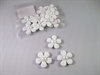 Små hvide blomster med klæb
